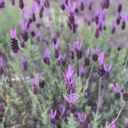 Casa La Cantina Casa de Férias