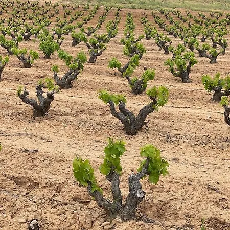 度假居 Casa La Cantina