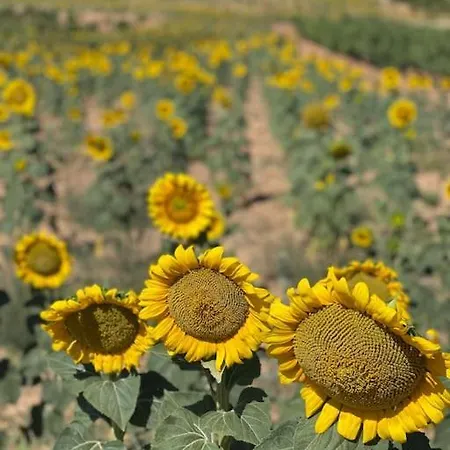 Casa La Cantina Casa vacanze La Horra