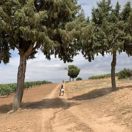 Casa de Férias Casa La Cantina La Horra