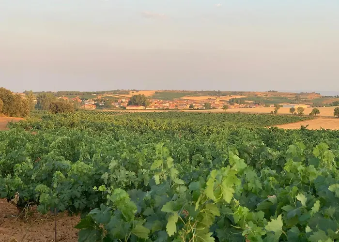 度假居 Casa La Cantina La Horra