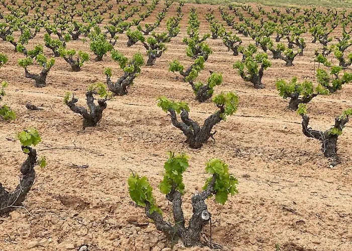 度假居 Casa La Cantina