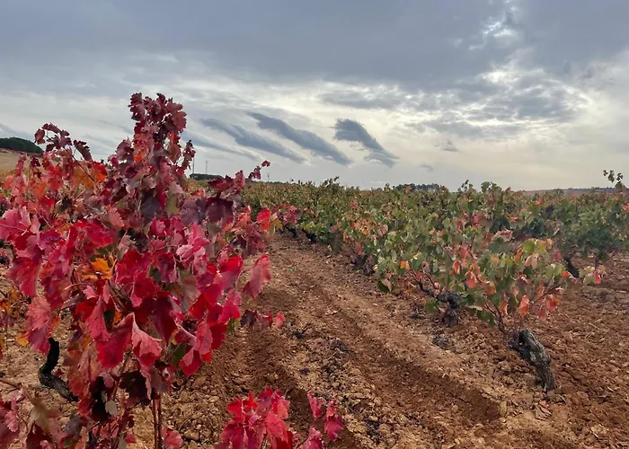 Casa La Cantina 度假居